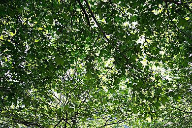 《家园3》发布故事预告片 星系深陷炼狱