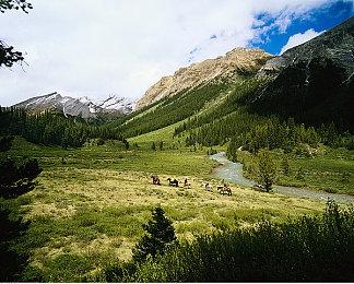 《黑神话》首家线下店实拍图公布：钟馗骑虎超霸气